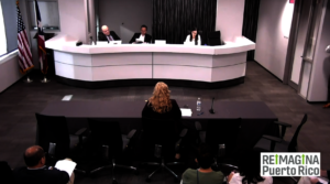 Malu Blazquez participation in IRP public hearings