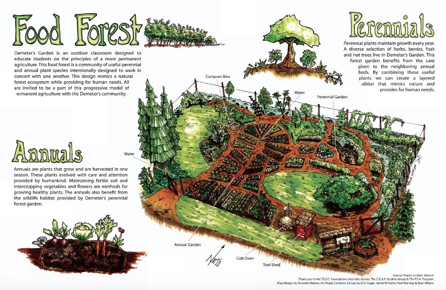 Build 10 Forest Gardens in Cape Town by Dec 2020