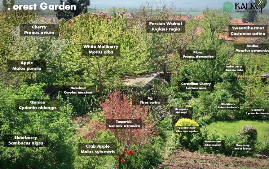 Build 10 Forest Gardens in Cape Town by Dec 2020