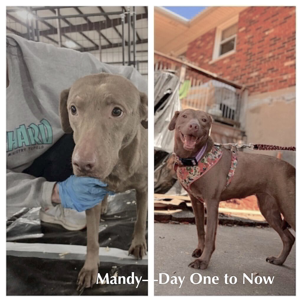 Mandy-Off to Her New Life