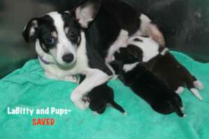 LaBitty and her New Family