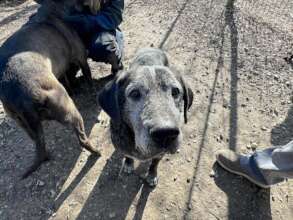 A new start for a neglected senior