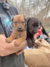 A new beginning for lives just beginning