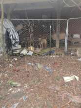 Are you here for me?