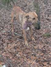 Don't worry, buddy, the Doctor is here!