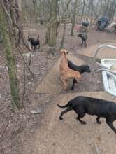 Something big is happening...