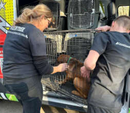 Don't be afraid, we're here to help.