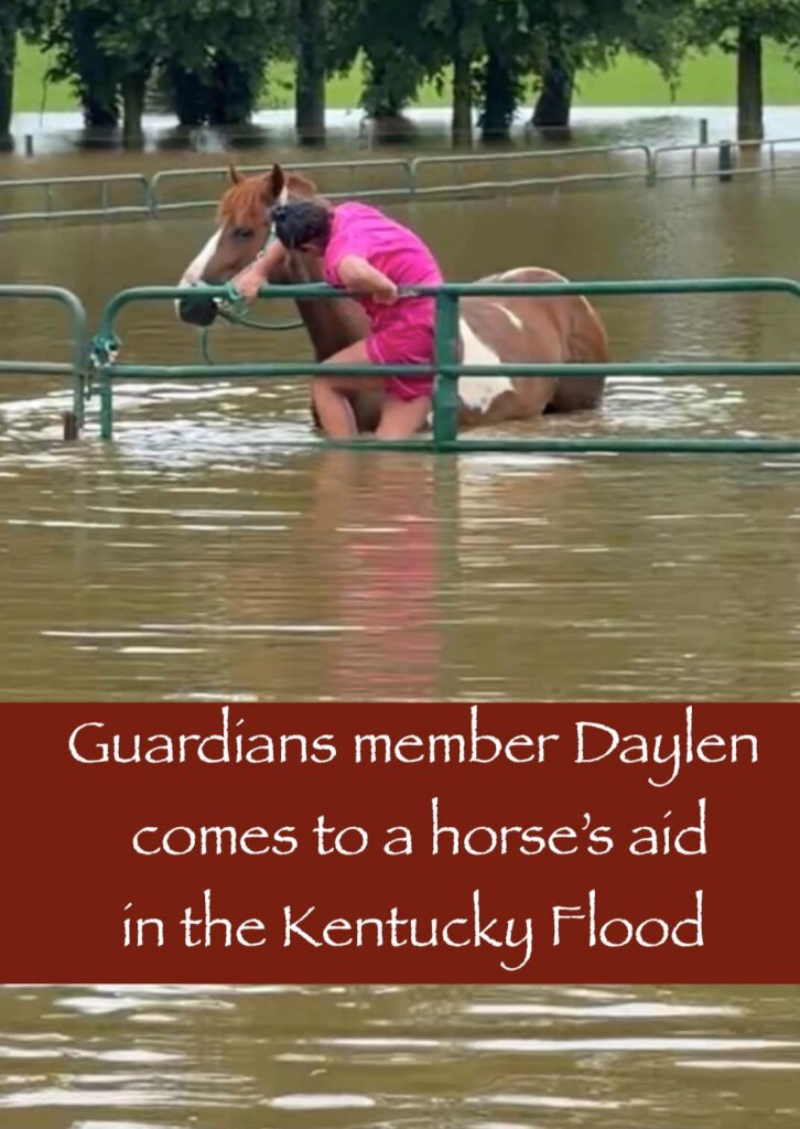 Guardians deploys to Kentucky Flood