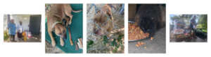 Scenes from our Community Outreach