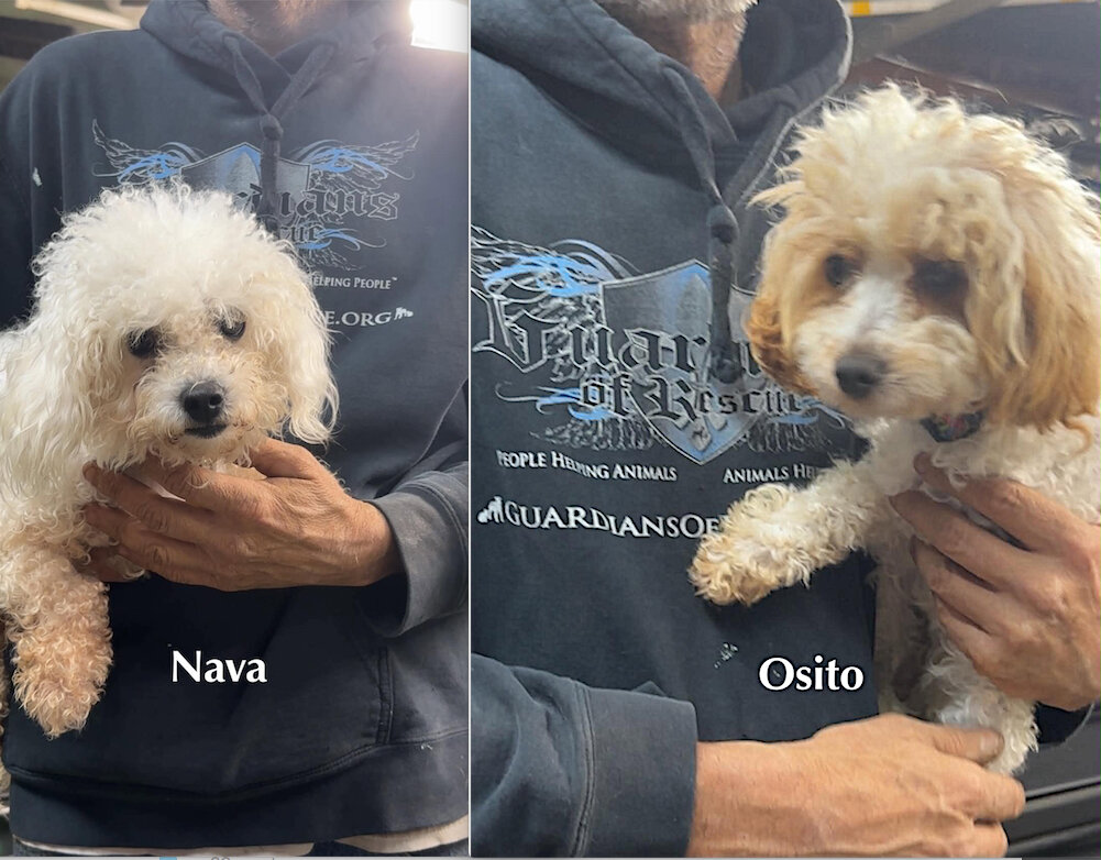 Nava and Osito