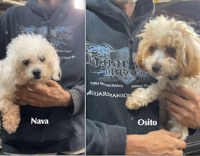 Nava and Osito