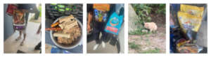 Scenes from our Community Outreach