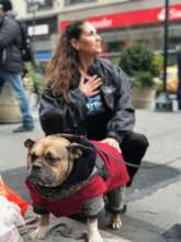 NYC "homeless" dog will get his new coat now