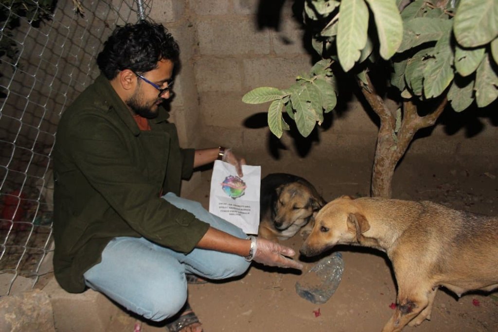 Stray Animal Rescue Shelter & CNVA anti Rabies