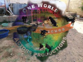 OWAP's Rescue Shelter