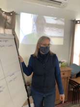 Project Leadership during Covid