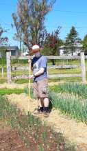 garden skills during Covid-19