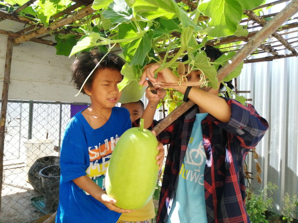 A very big gourd grown by SAW children