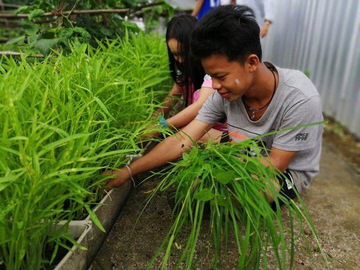 Feeding orphans of HIV+ Burmese women
