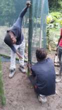 Putting the bamboo post in the ground