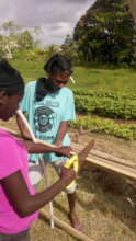 Greenhouse building - making a clean cut