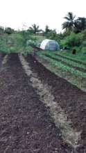 Successful completion of the greenhouse