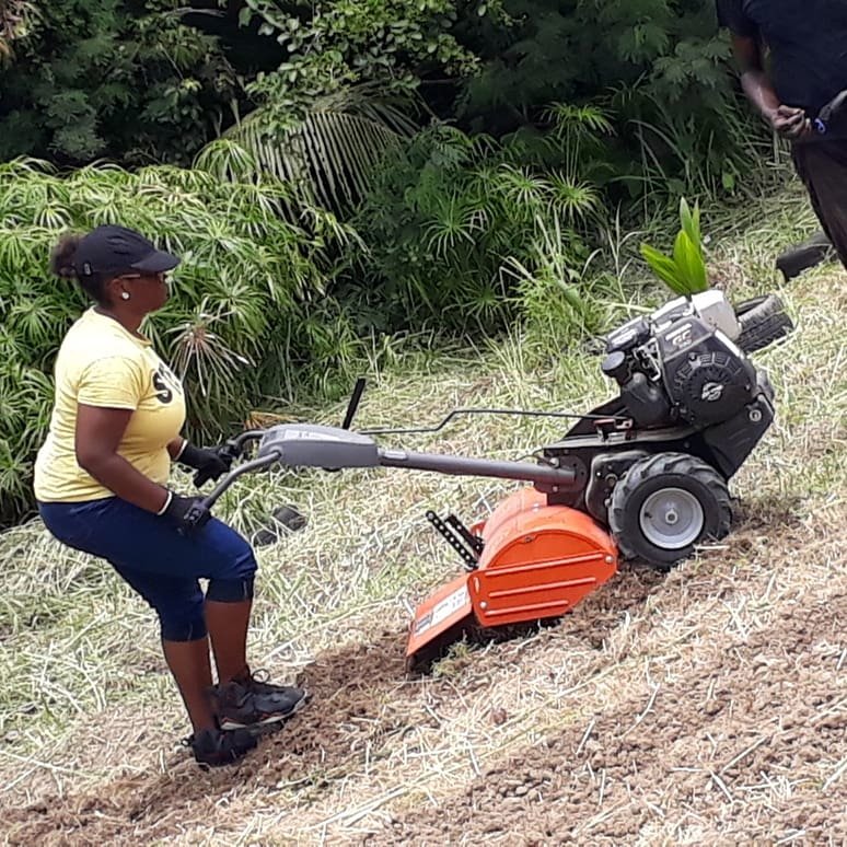 Training Barbados youth in farming and leadership