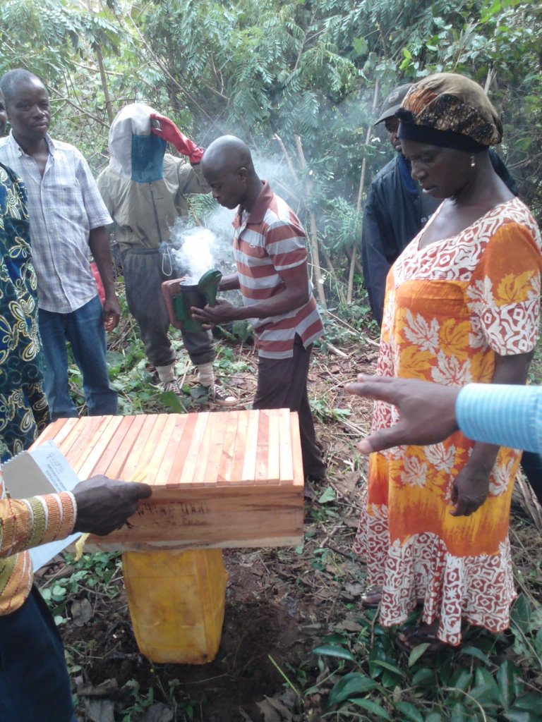 Community Beekeeping Project Beekeeping Project with small farmers in Kpalime - GlobalGiving