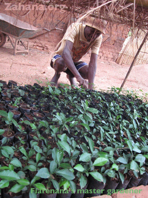 Zahana's master gardener