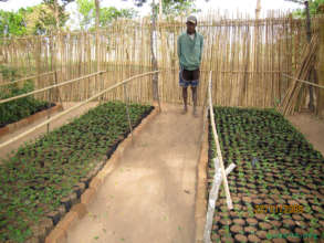 Jean growing seedlings in 2009