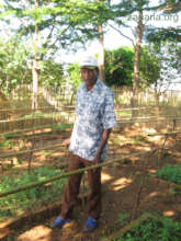 Jean and seedlings in 2014