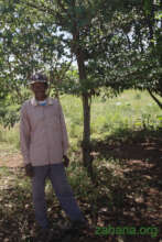 Jean and his fruit trees in 2017
