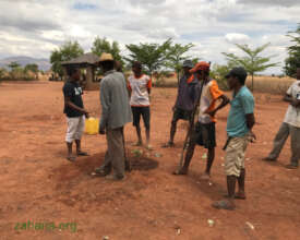 Jean teaching how to plant a fruit tree 2019