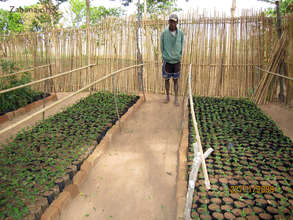 Jean - our master gardener from Fiarenana