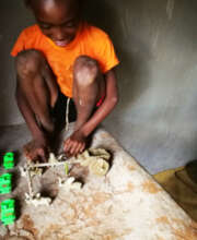 Her boy playing with his zebu