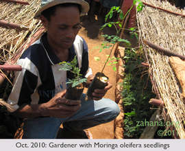 July 2010: Zahana’s 2nd Gardner growing Moringa