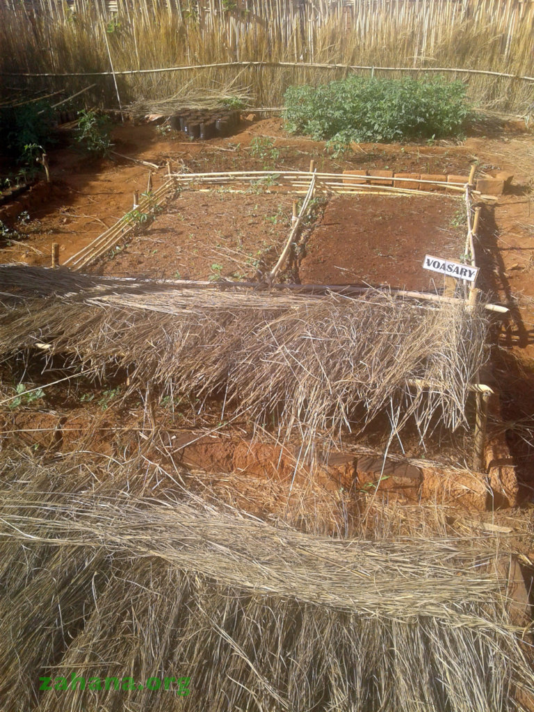 Neat nursery beds clearly labled