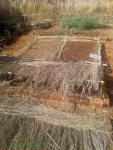 Neat nursery beds clearly labled