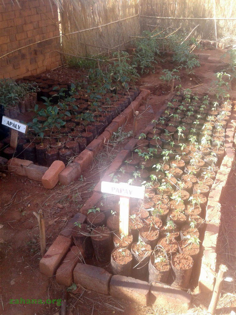More organized nursery beds
