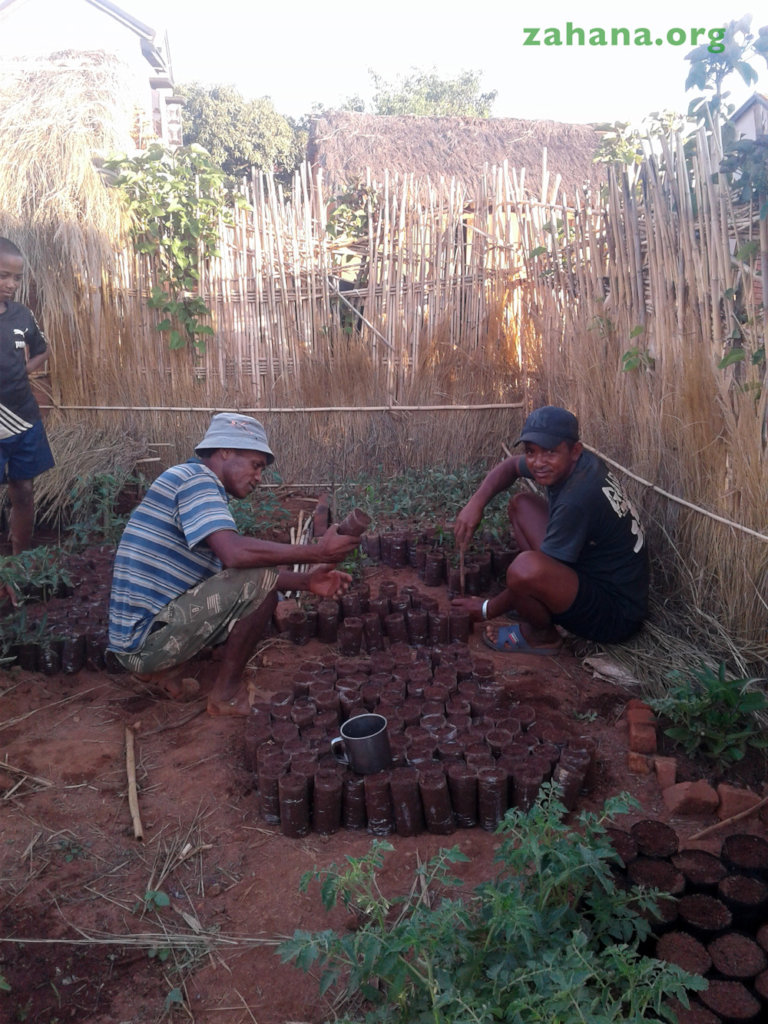 Teacher and apprentice working together