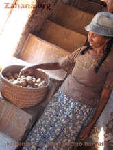 Showing her potato harvest