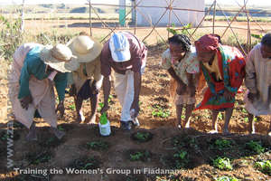 Agricultural Expert (with shoes) teaching planting