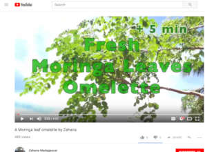 How to make a Moringa omelette video
