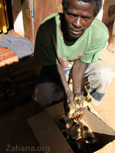 Ducklings with the new owner