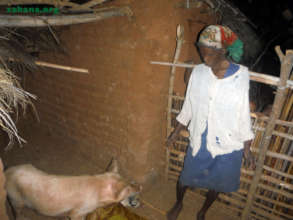 Thier mother raising piglets for her sons