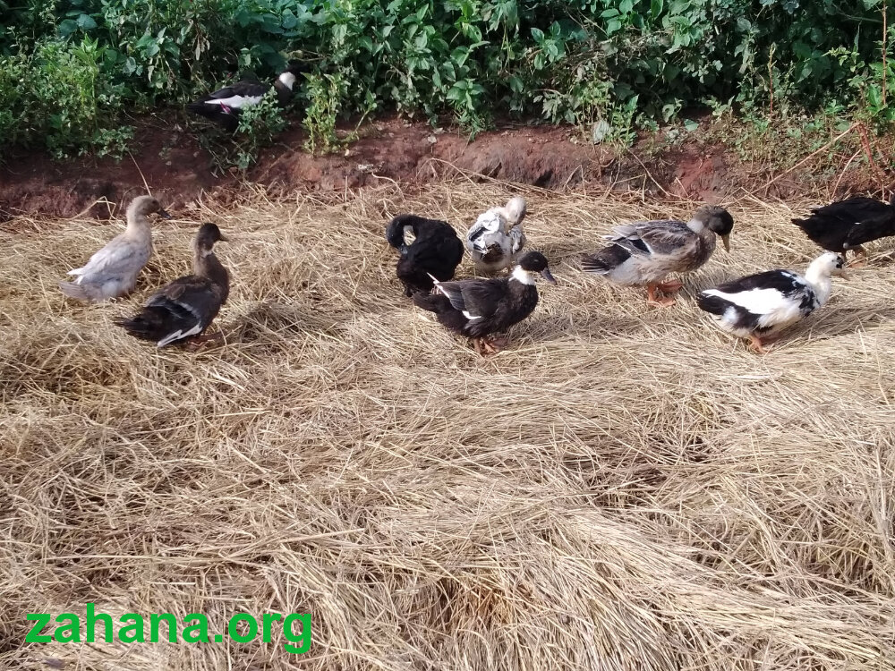 A dedicated micro credit fund for rural Madagascar