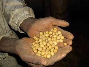 Close-up of the beans