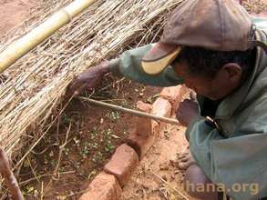 Making sure the coffee seedlings are doing well