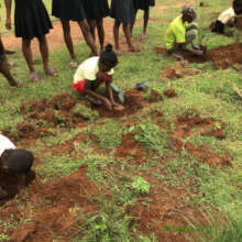 Reforestation and part of the festivities