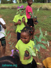 Seedlings from the nursery ready to be planted